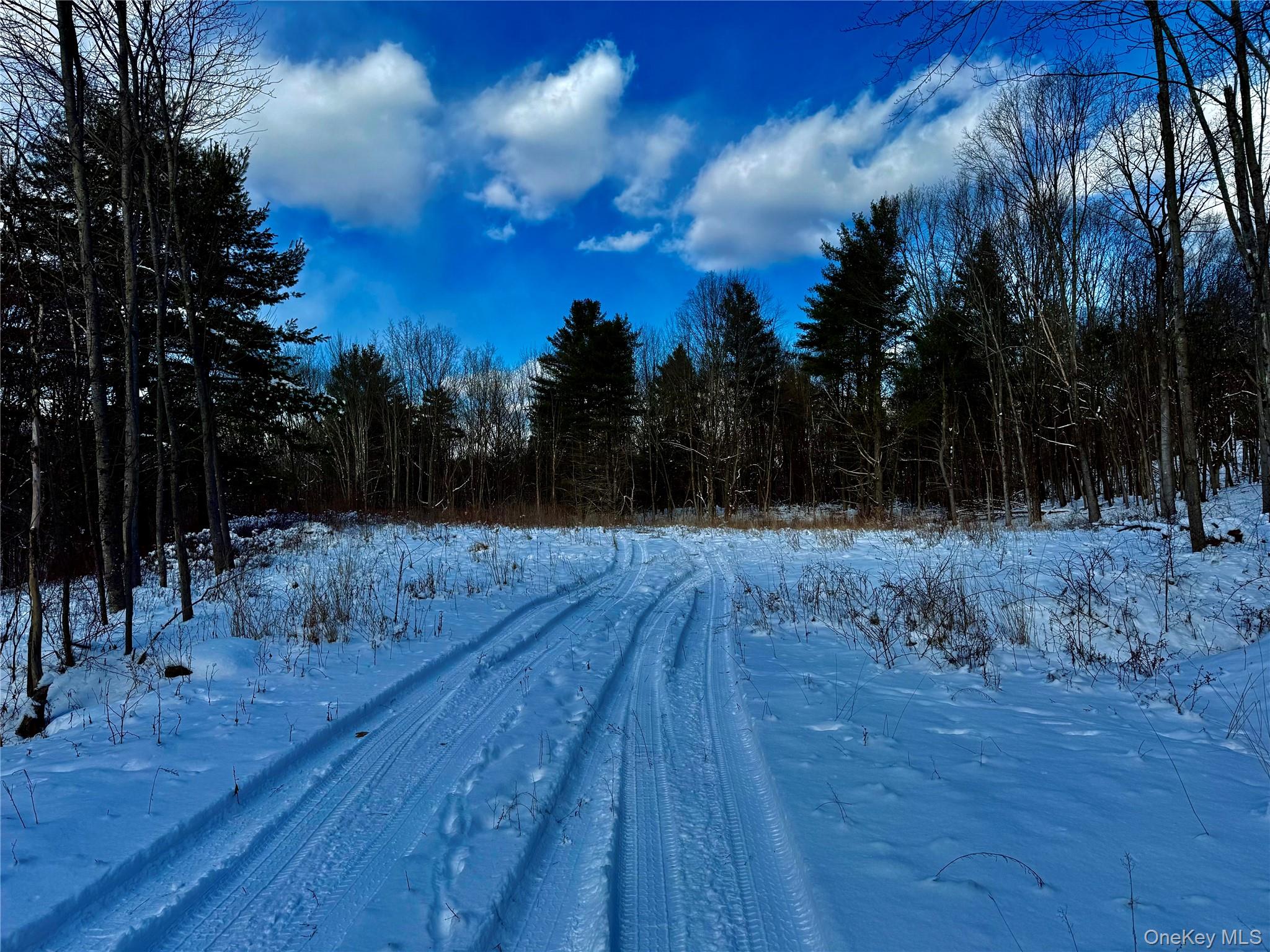 #4 photo, 266 Pitts Road, Chatham , NY 12136