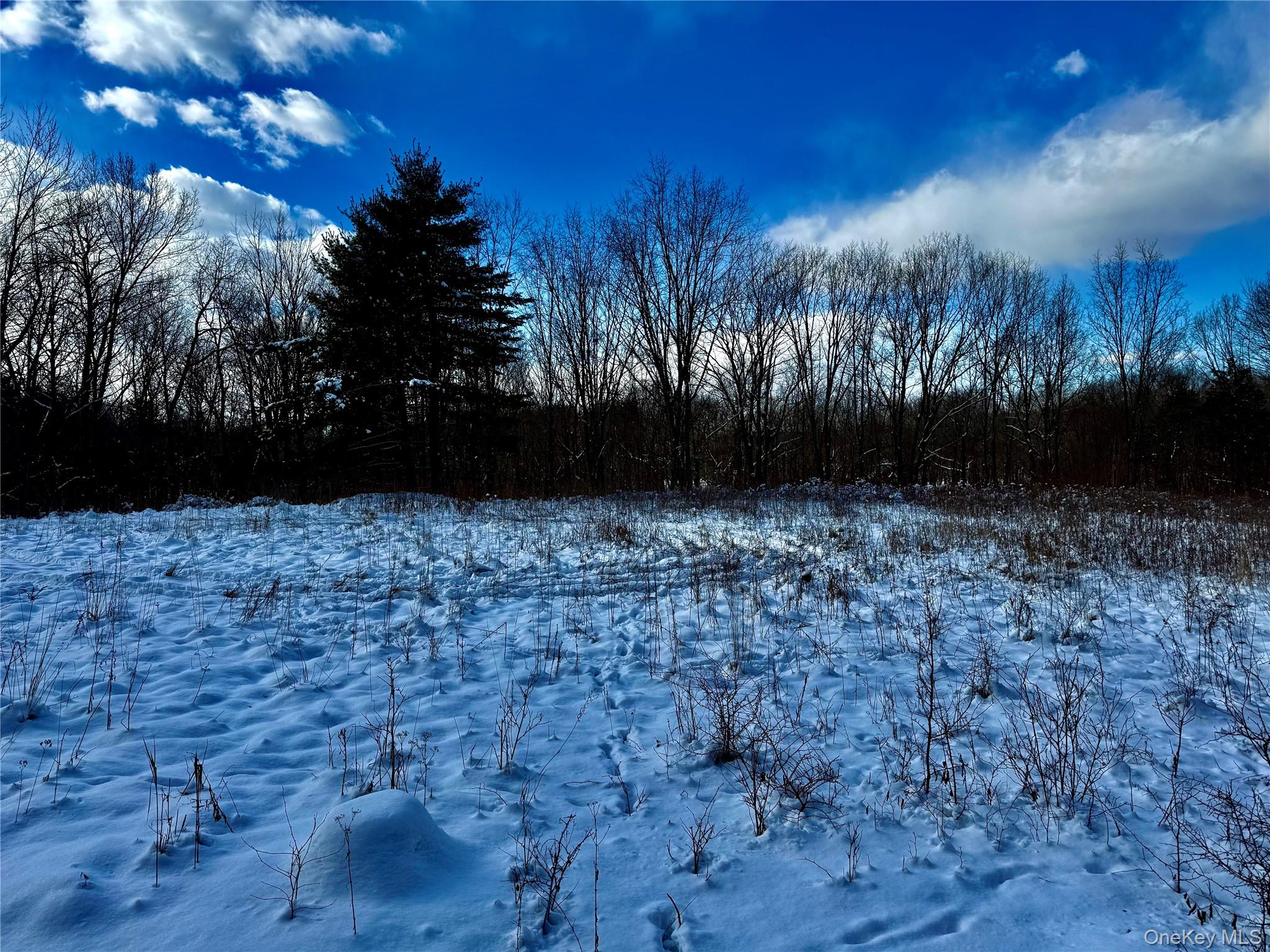 #5 photo, 266 Pitts Road, Chatham , NY 12136