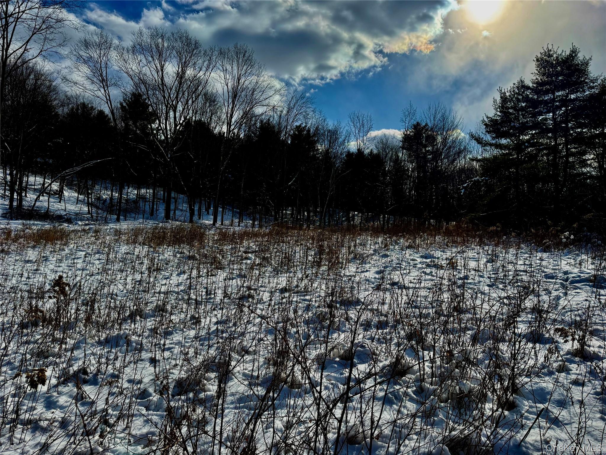 #6 photo, 266 Pitts Road, Chatham , NY 12136