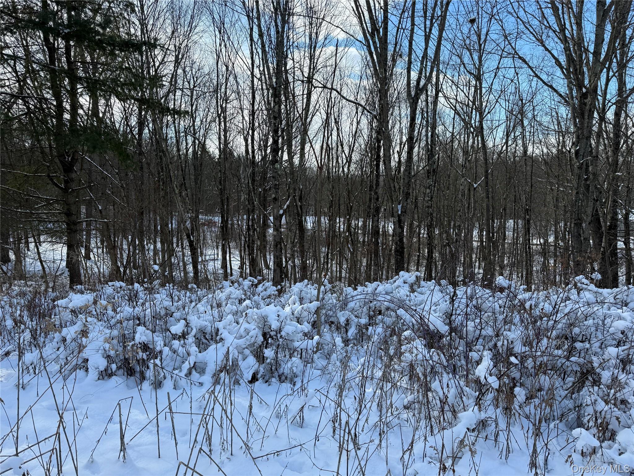 #7 photo, 266 Pitts Road, Chatham , NY 12136