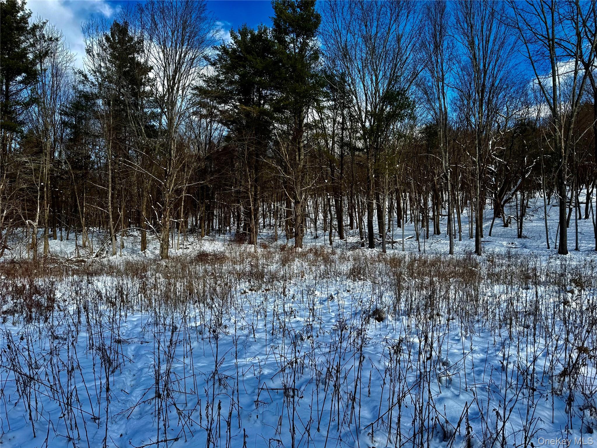 #8 photo, 266 Pitts Road, Chatham , NY 12136