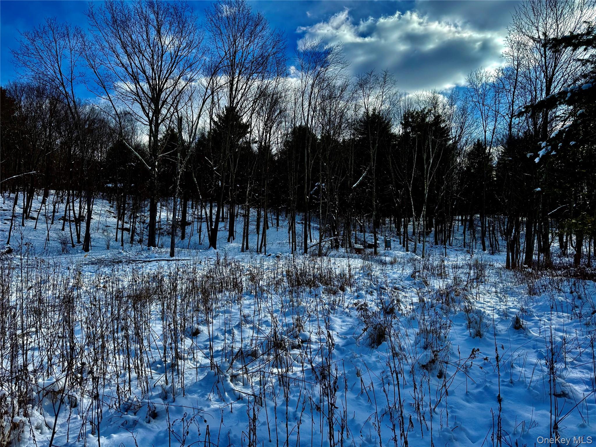 #9 photo, 266 Pitts Road, Chatham , NY 12136