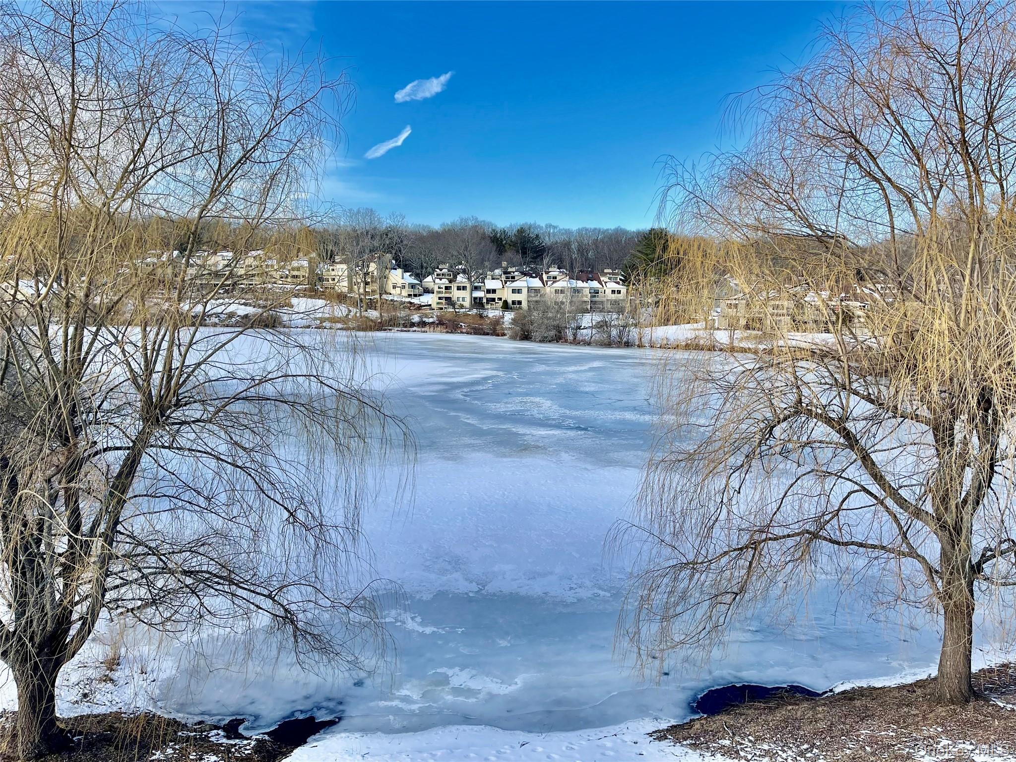 #1 photo, 903 Oakridge Common, South Salem , NY 10590