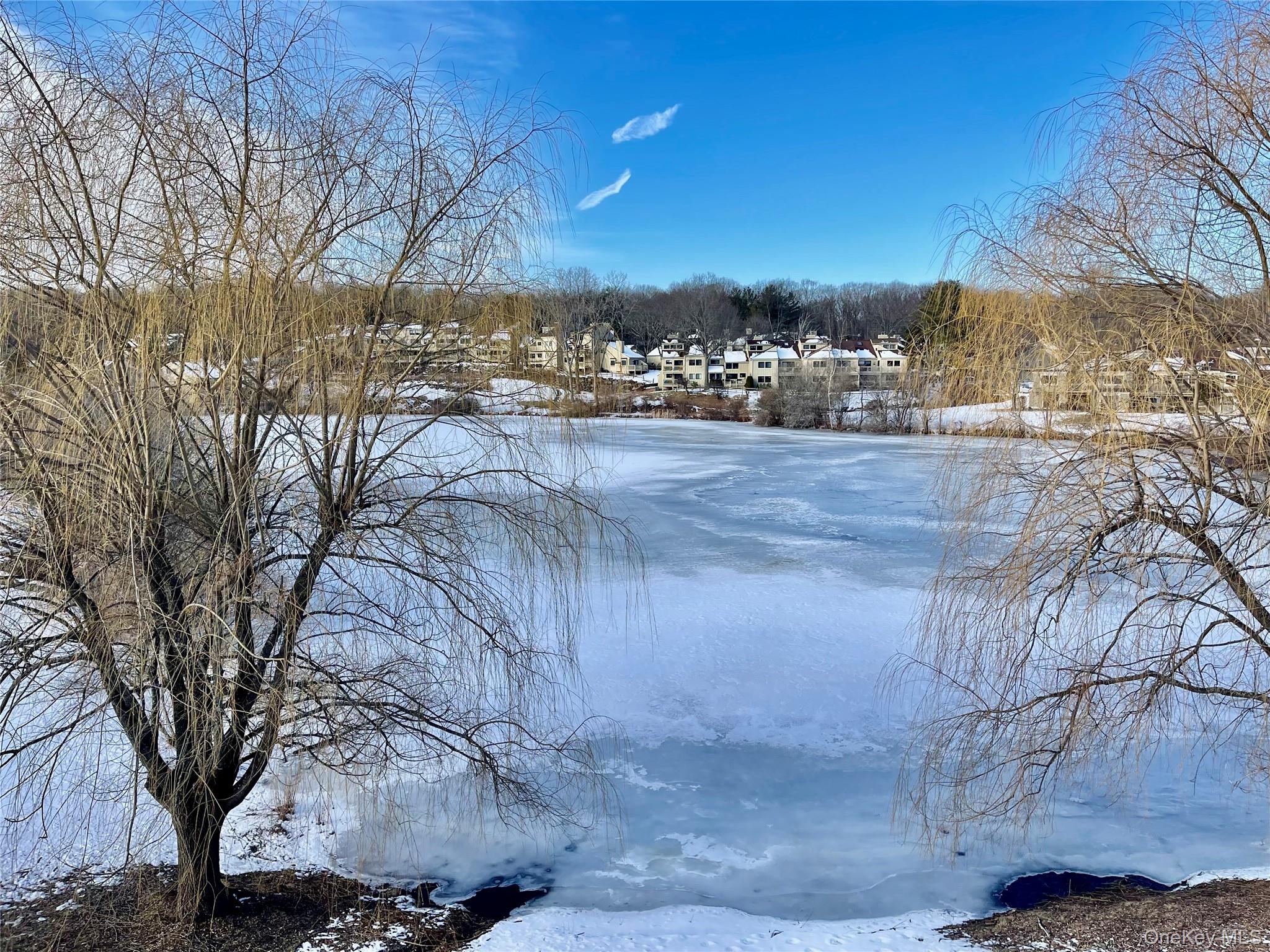 #9 photo, 903 Oakridge Common, South Salem , NY 10590