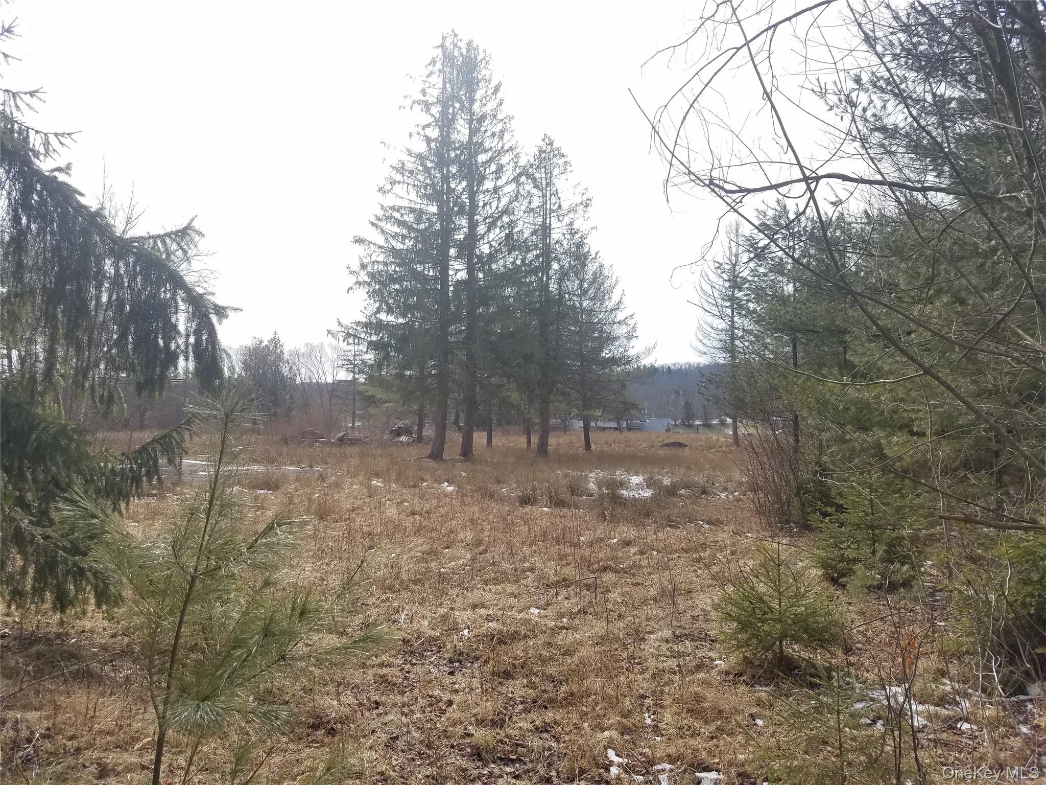 #7 photo, 59 Lanahan Road, 뉴욕주 Monticello , NY 12701