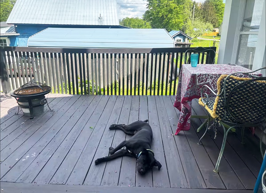 #21 photo, 126 Lake Shore Drive North, Maryland , NY 12116