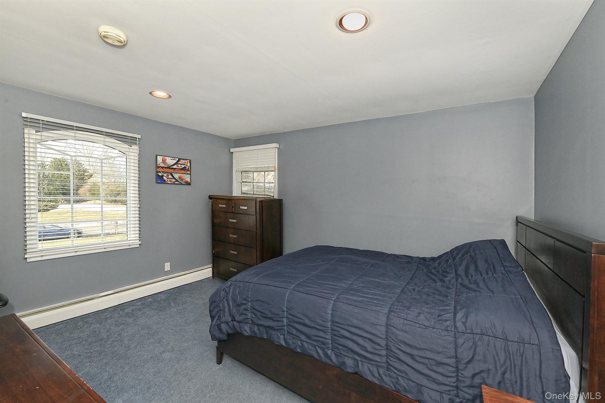 #19 photo, 17 Susan Lane, Dix Hills , NY 11746