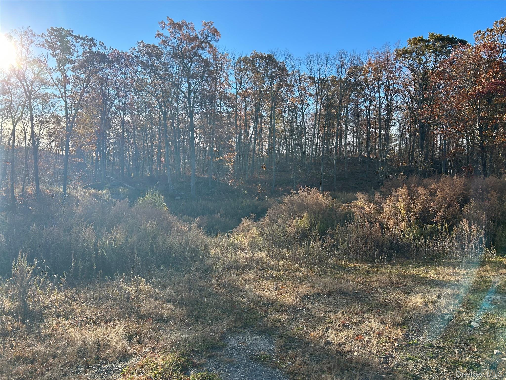 #12 photo, 545 Grape Hollow Road, Holmes , NY 12531