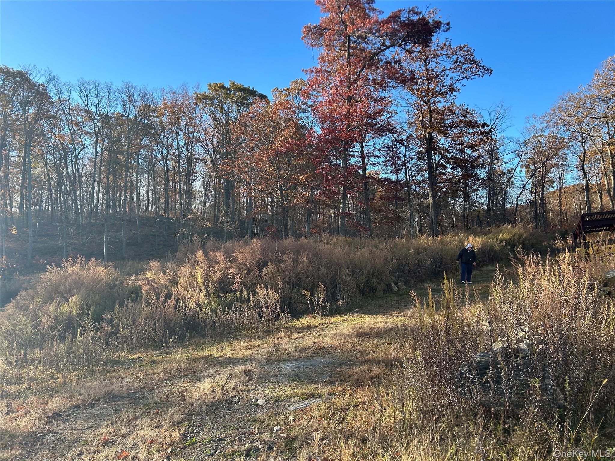 #13 photo, 545 Grape Hollow Road, Holmes , NY 12531