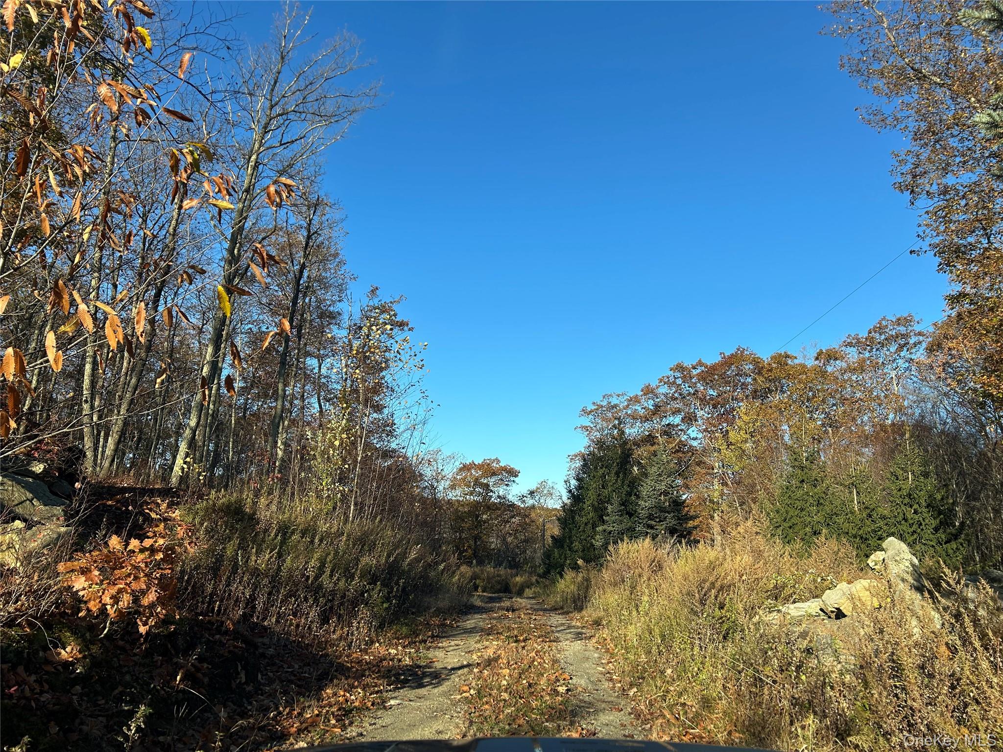 #15 photo, 545 Grape Hollow Road, Holmes , NY 12531