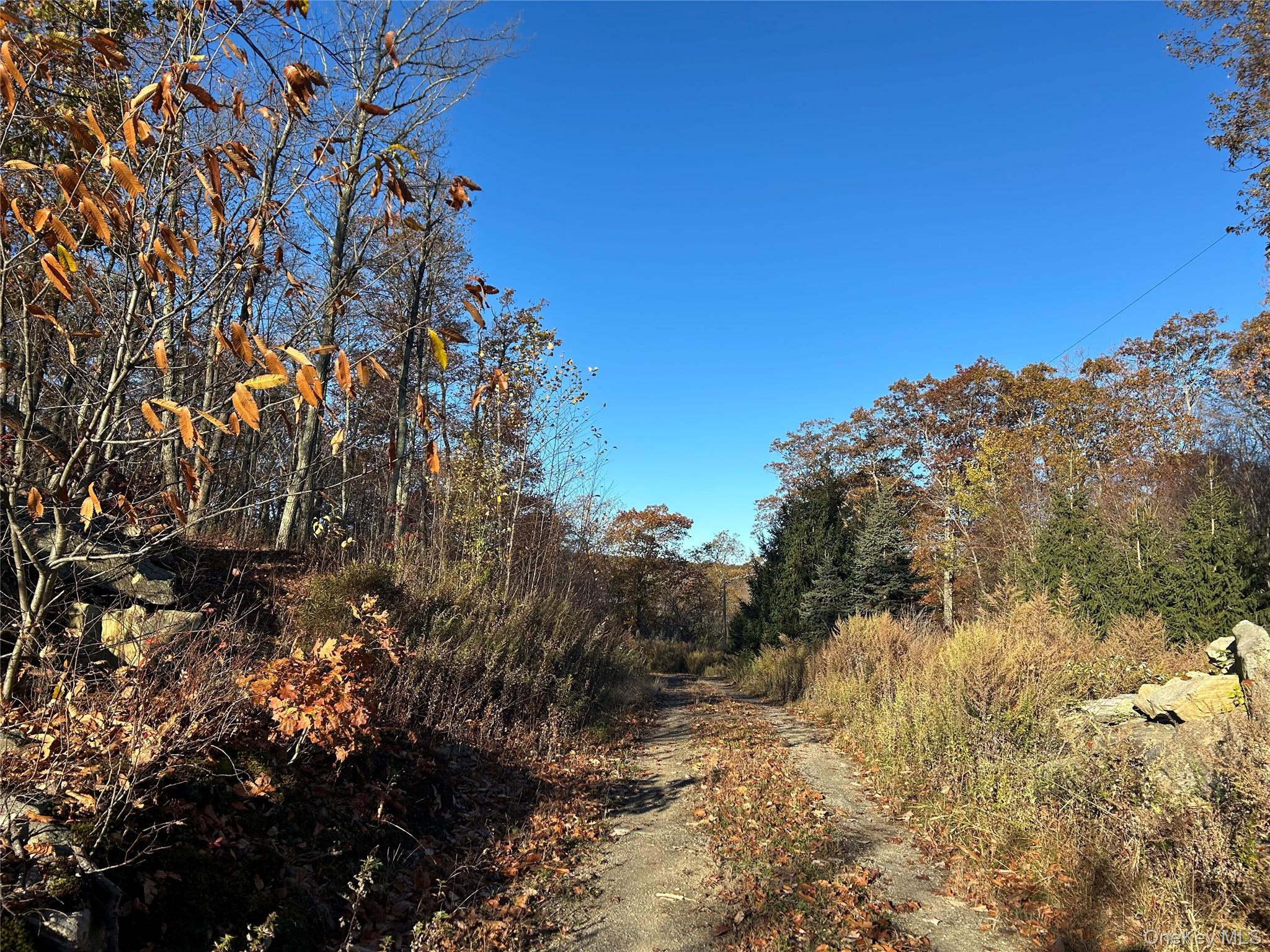 #4 photo, 545 Grape Hollow Road, Holmes , NY 12531