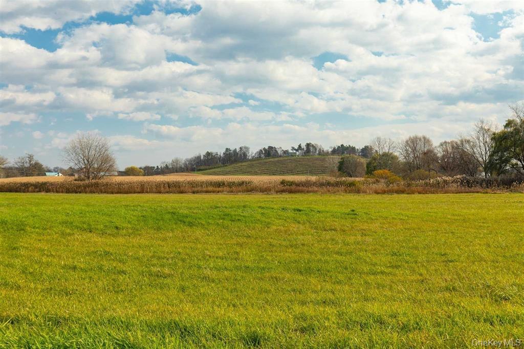 #15 photo, 460 Lasher Road, Tivoli , NY 12583