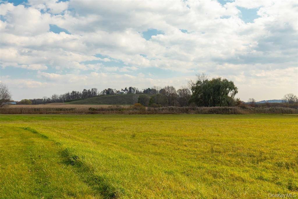 #16 photo, 460 Lasher Road, Tivoli , NY 12583