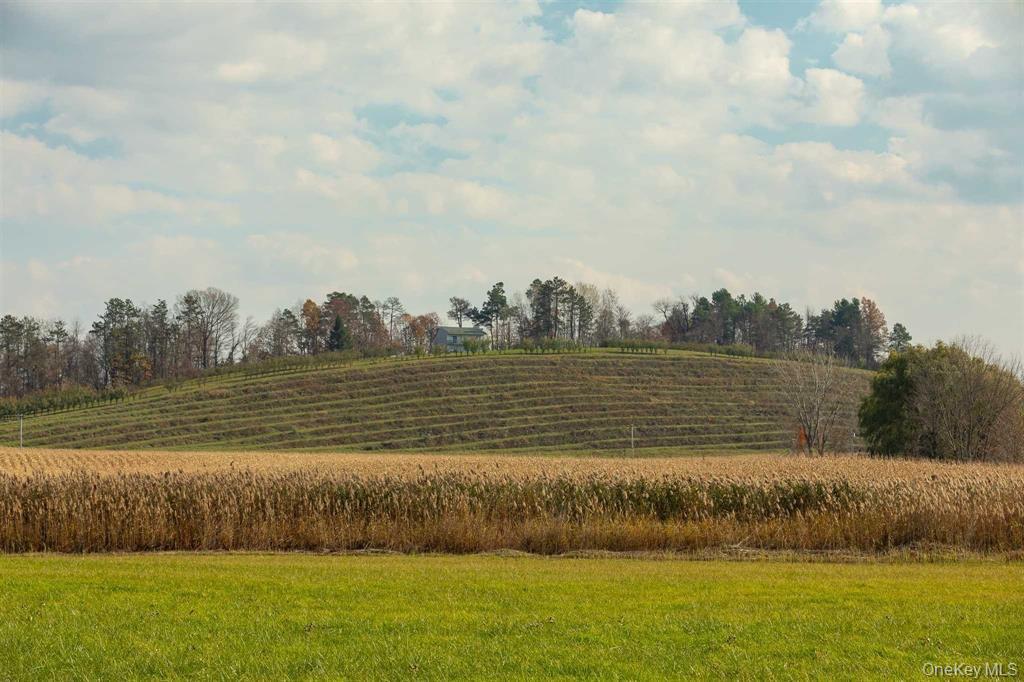 #17 photo, 460 Lasher Road, Tivoli , NY 12583