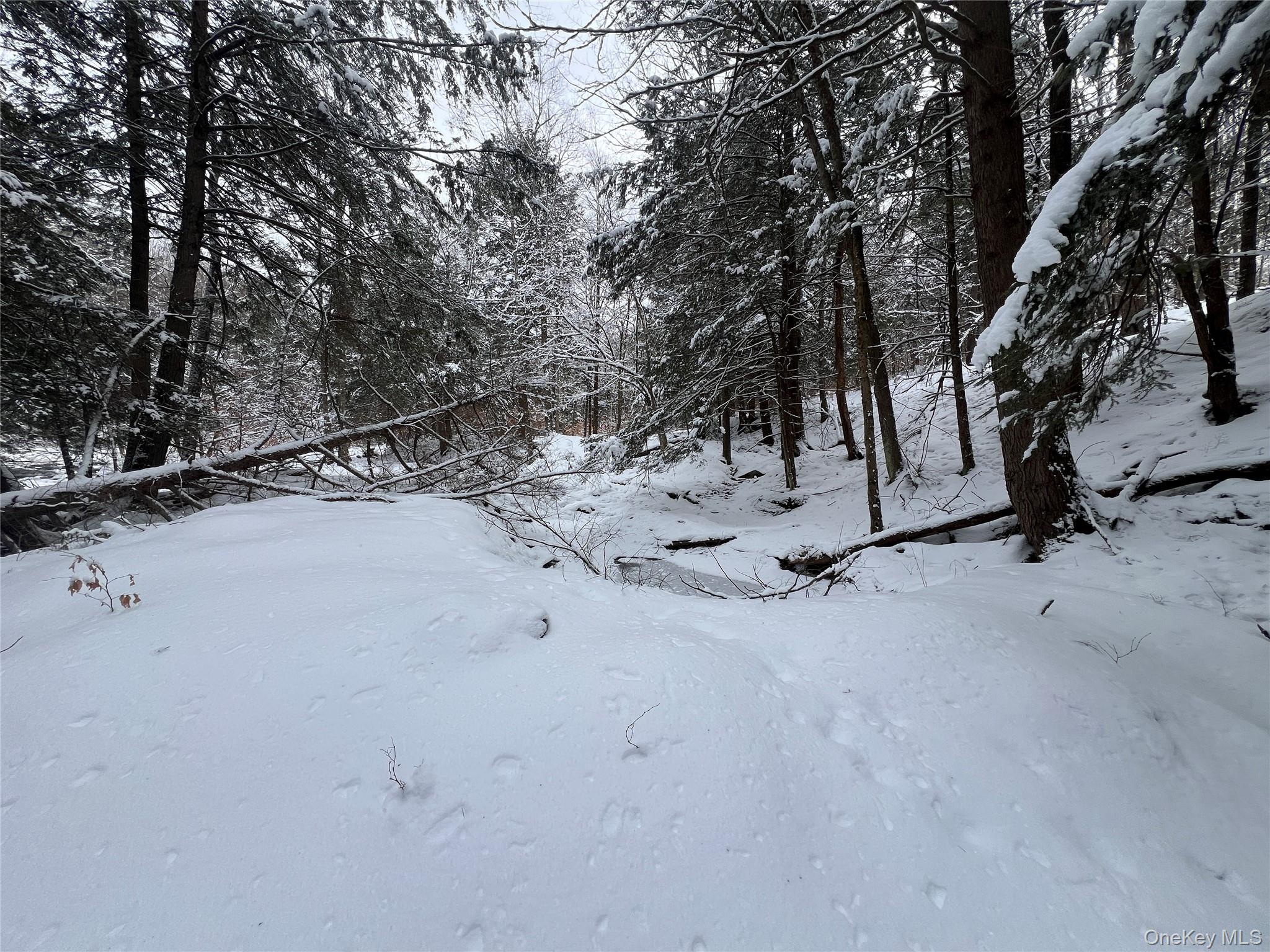 #11 photo, Methol Road, Hancock , NY 13783