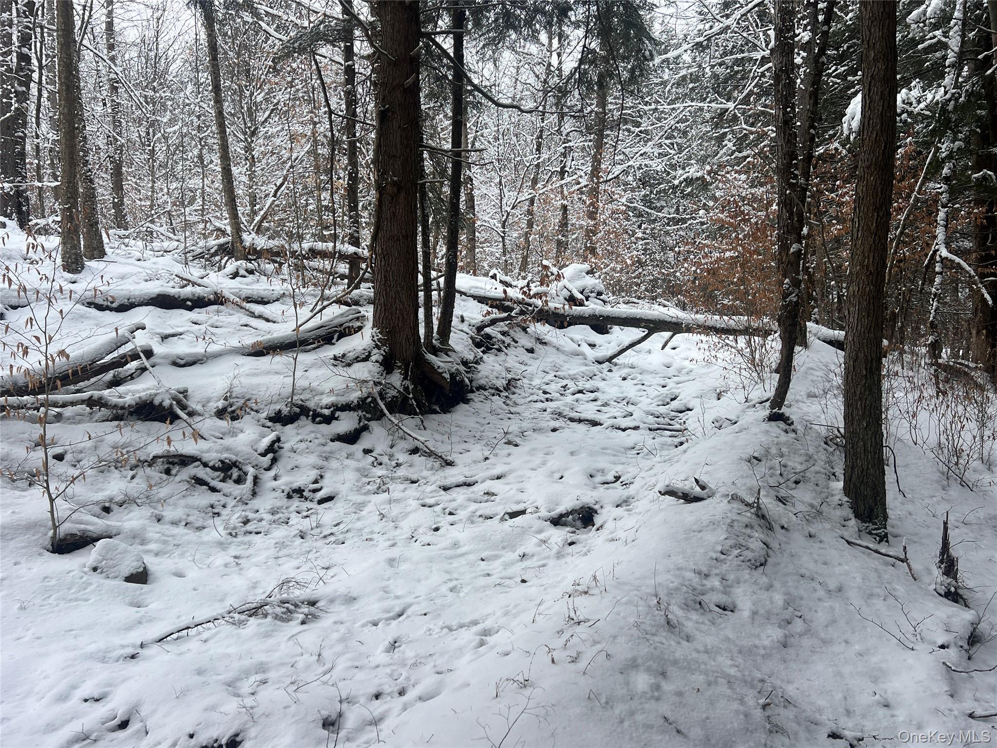 #7 photo, Methol Road, Hancock , NY 13783