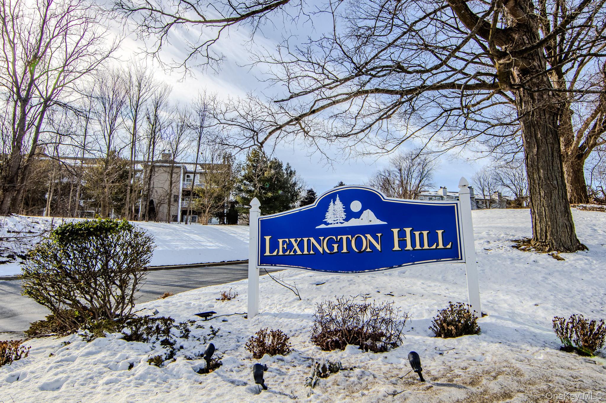 #10 photo, 7 Lexington Hill, Harriman , NY 10926