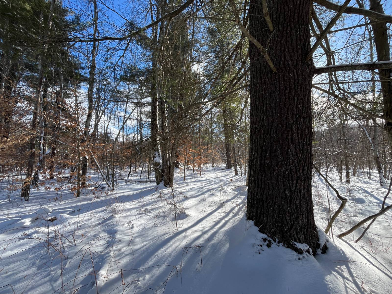 #12 photo, 00 Lafaver Rd, #4, Hermon , NY 13652