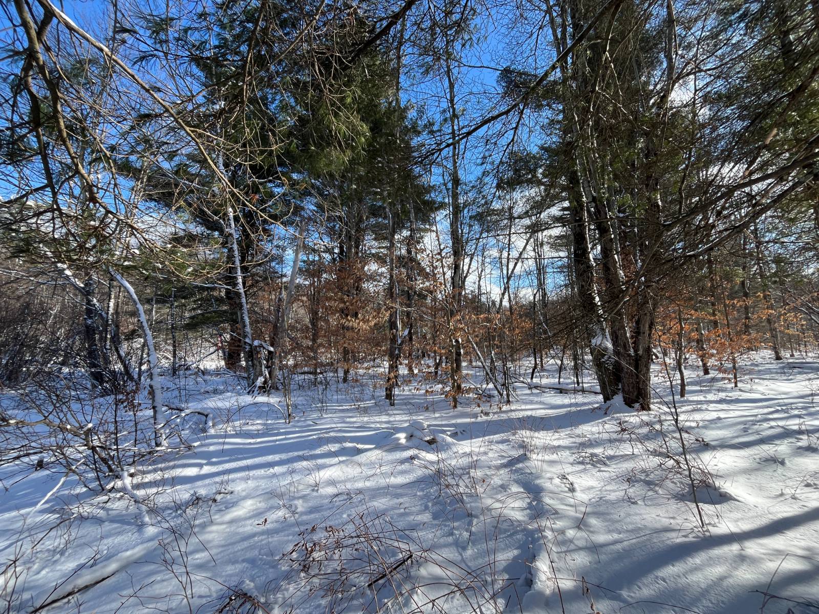 #13 photo, 00 Lafaver Rd, #4, Hermon , NY 13652