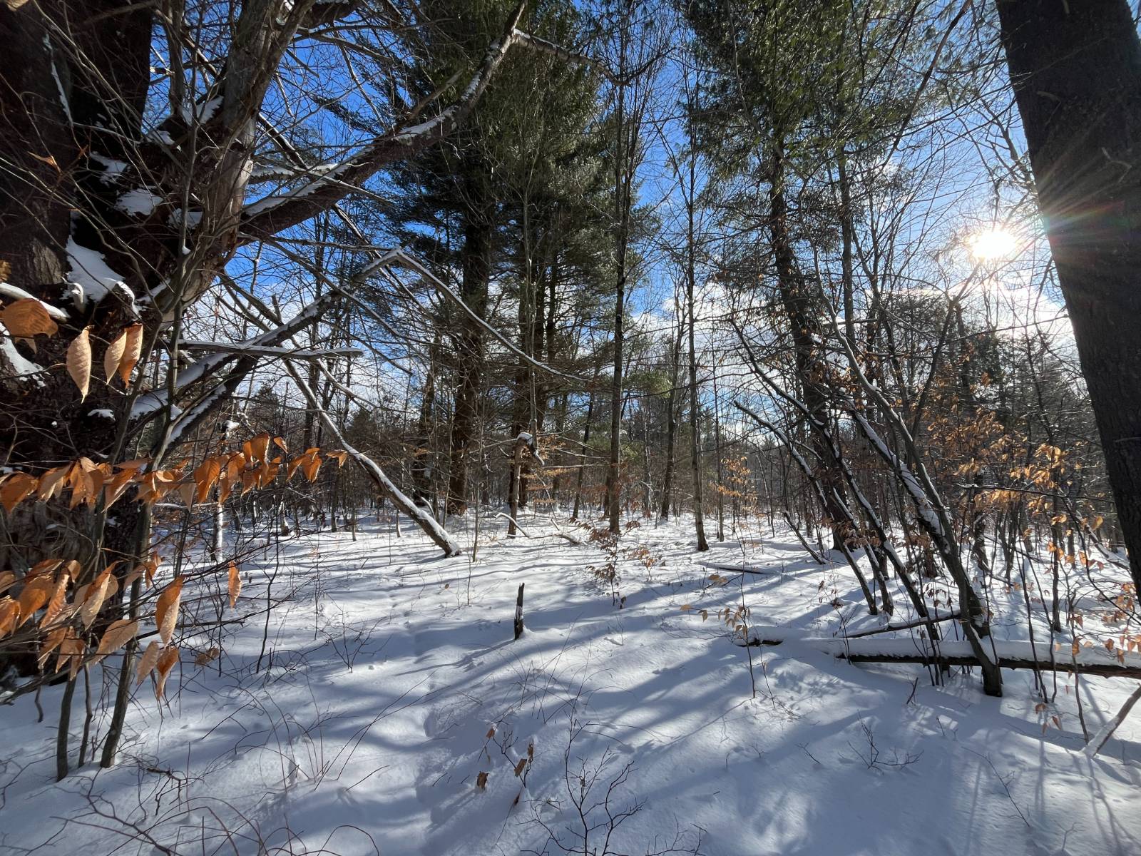 #14 photo, 00 Lafaver Rd, #4, Hermon , NY 13652