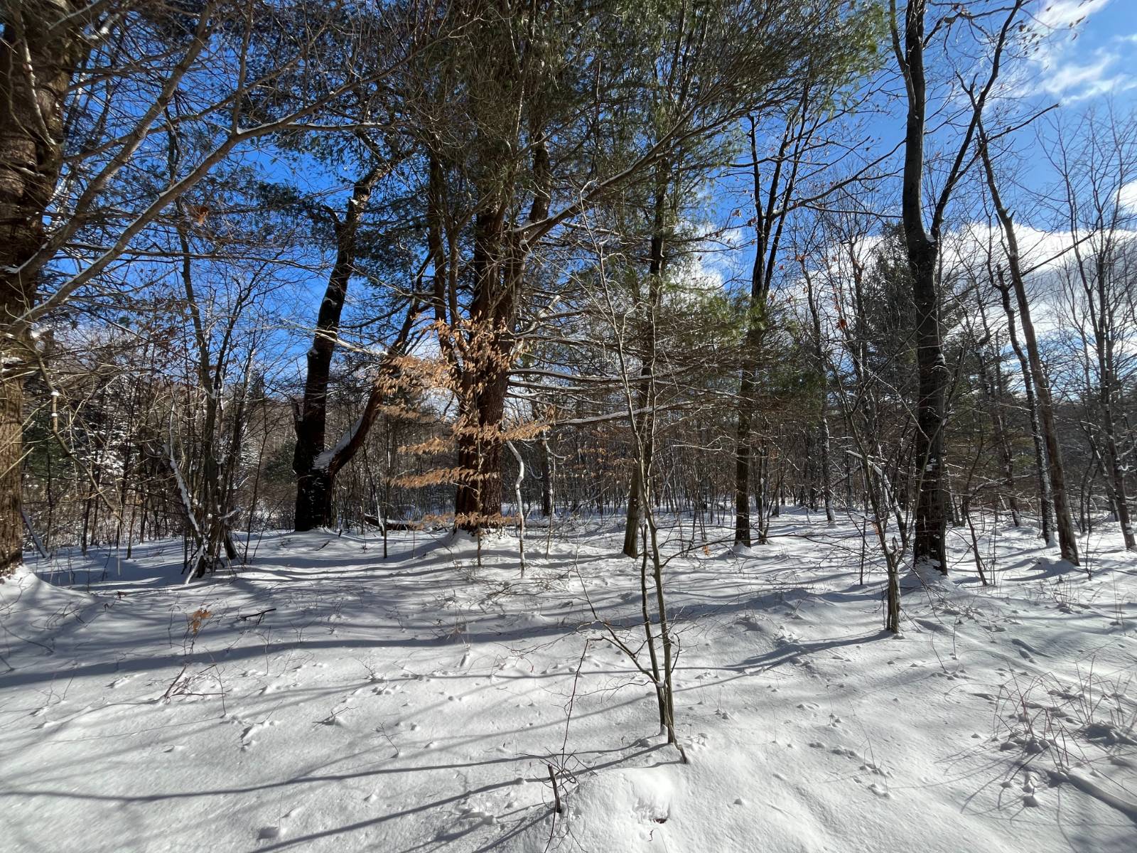 #15 photo, 00 Lafaver Rd, #4, Hermon , NY 13652