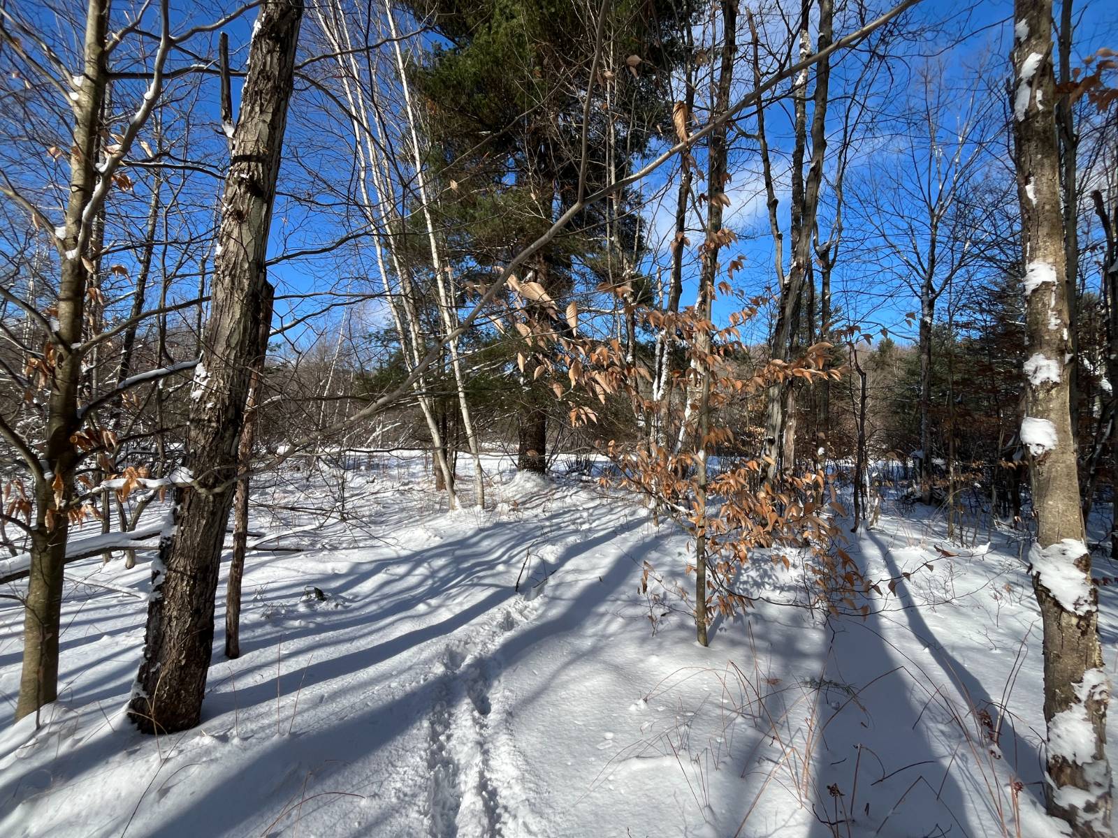 #16 photo, 00 Lafaver Rd, #4, Hermon , NY 13652