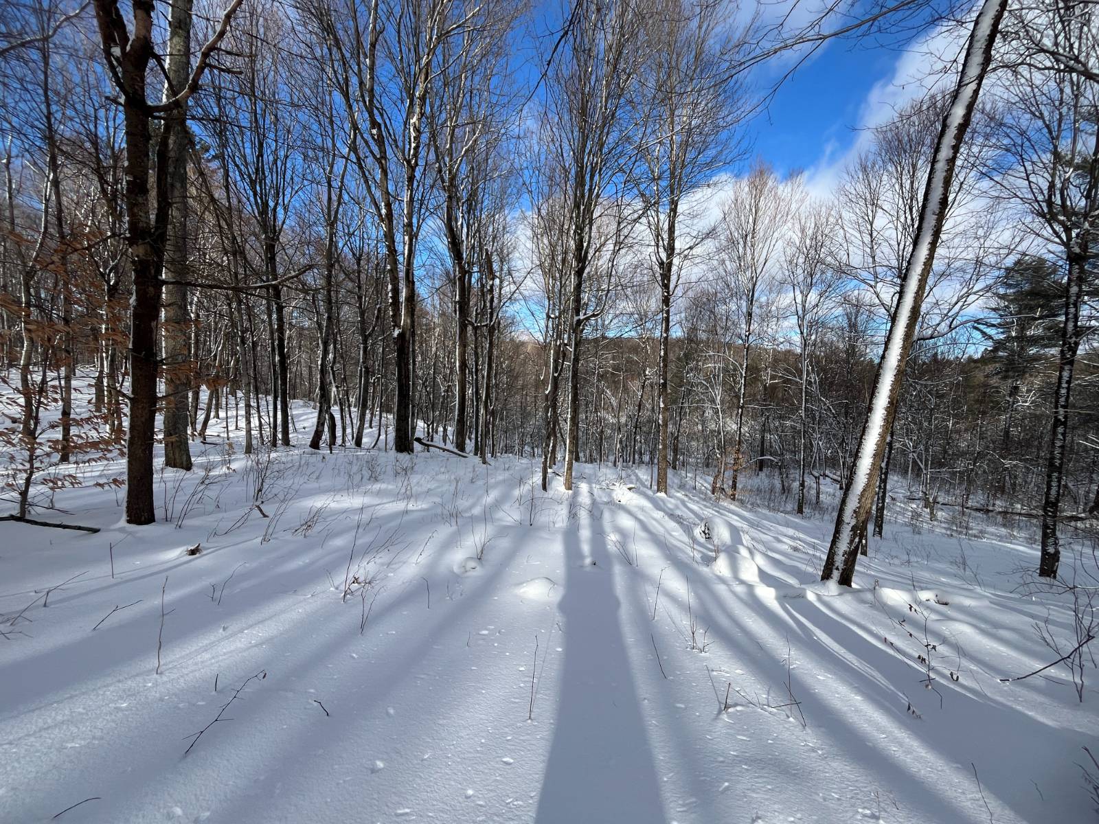 #2 photo, 00 Lafaver Rd, #4, Hermon , NY 13652