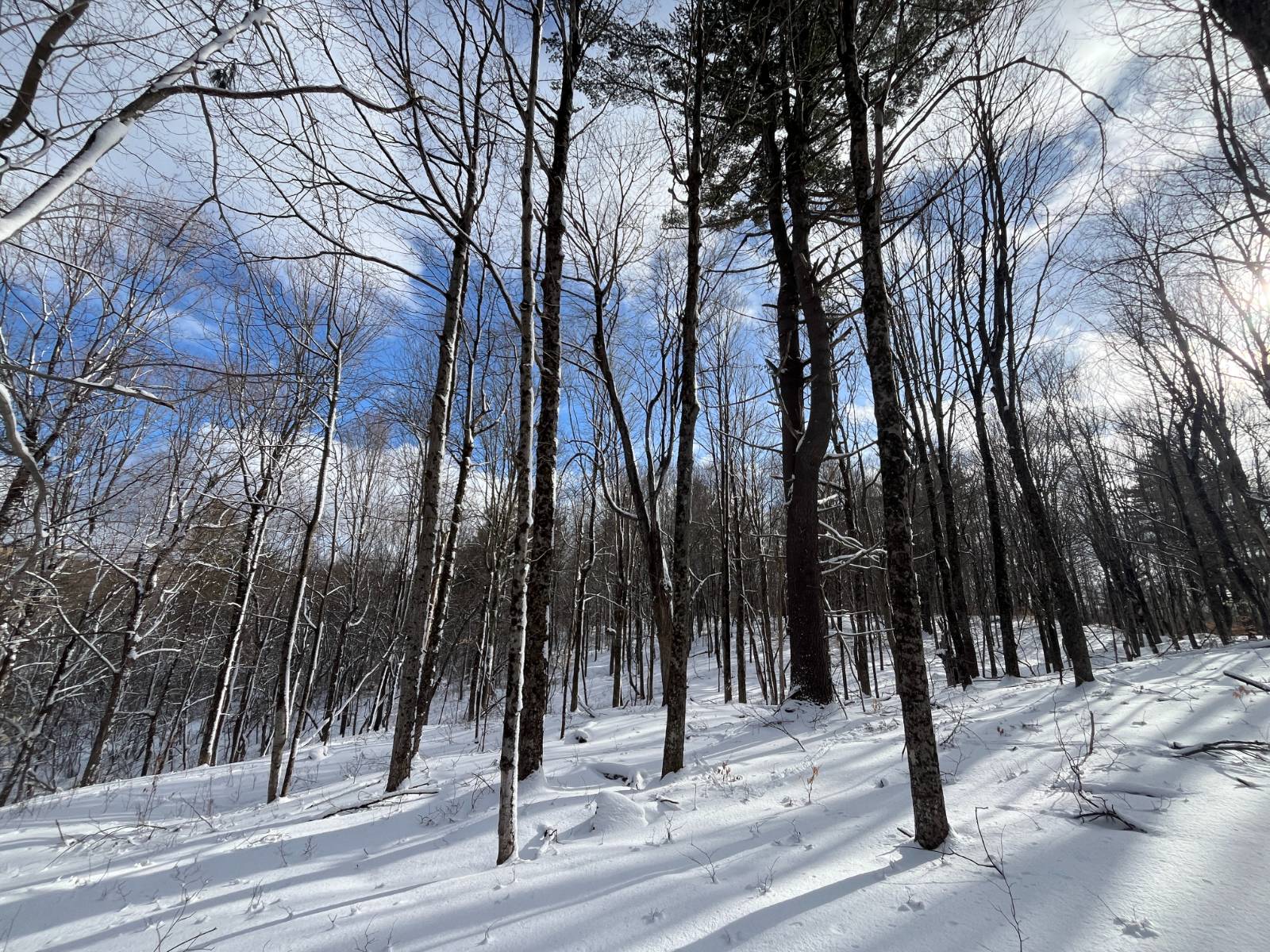 #6 photo, 00 Lafaver Rd, #4, Hermon , NY 13652