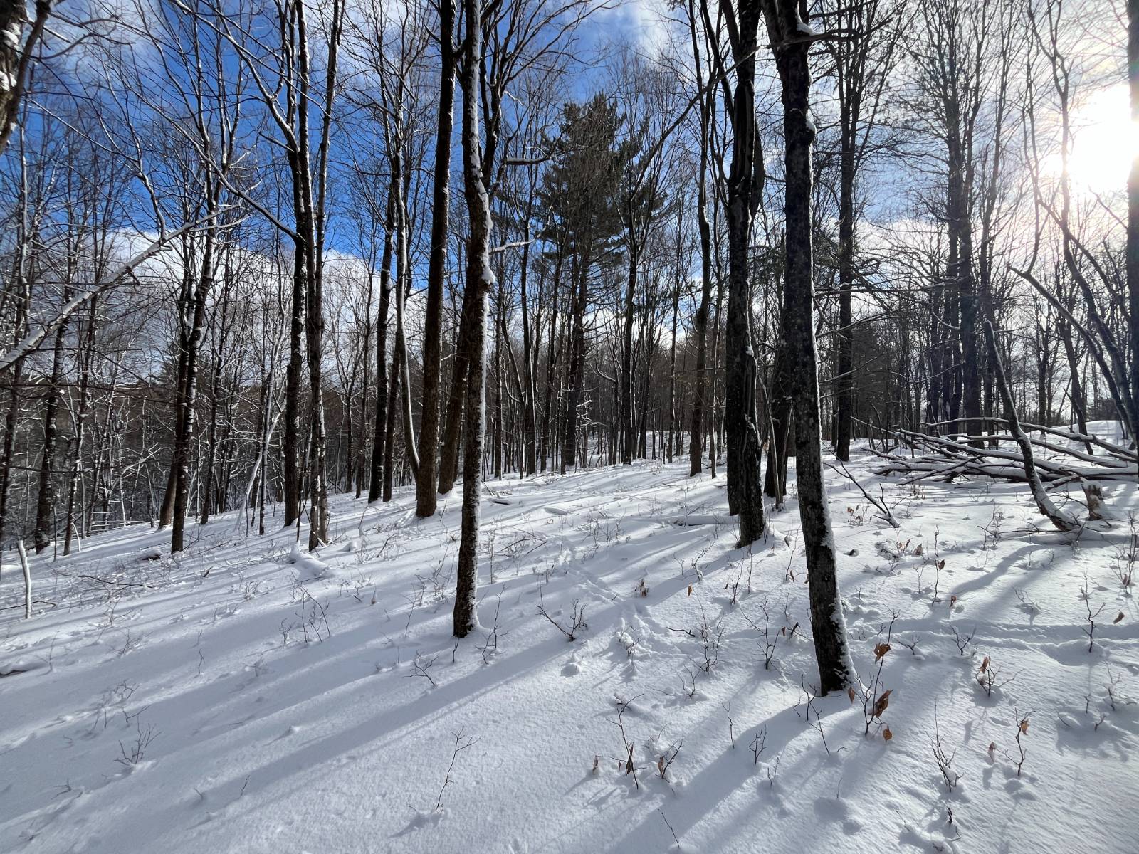 #7 photo, 00 Lafaver Rd, #4, Hermon , NY 13652