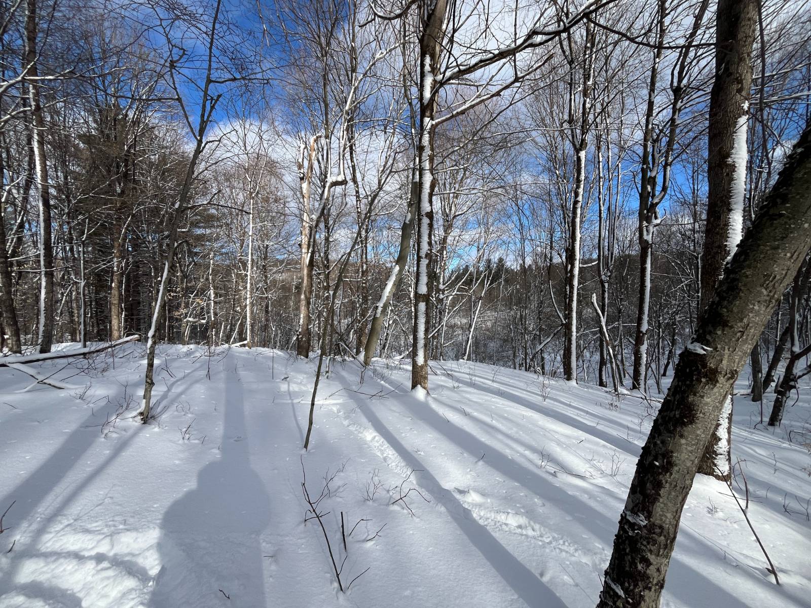 #8 photo, 00 Lafaver Rd, #4, Hermon , NY 13652