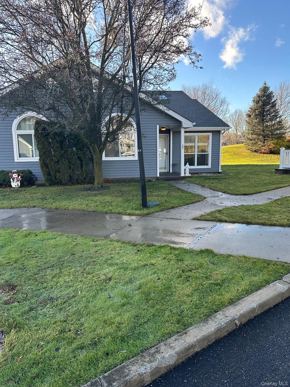 #19 photo, 745 Spring Lake Drive, サフォーク郡 Middle Island , NY 11953