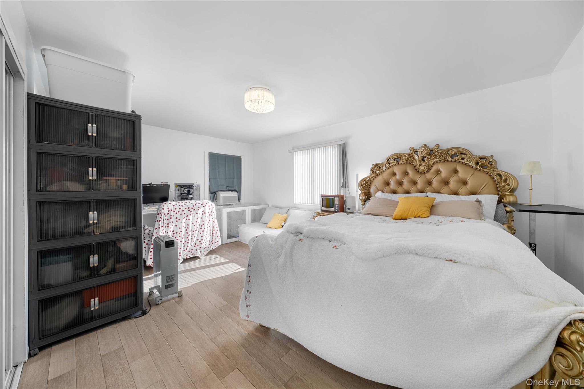 #19 photo, 11 Locust Avenue, Coram , NY 11727