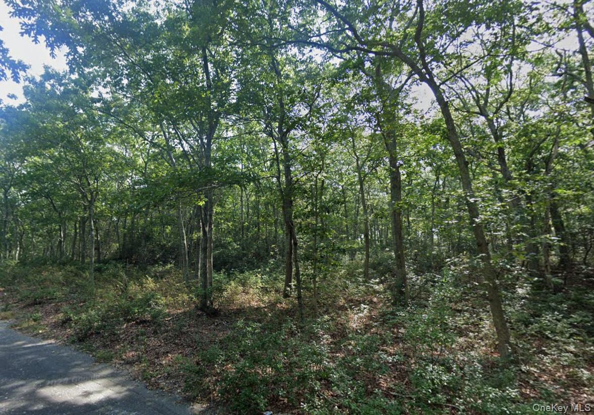 #2 photo, 901 Old Sag Harbor Road, Water Mill , NY 11976