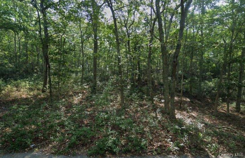 #3 photo, 901 Old Sag Harbor Road, Water Mill , NY 11976