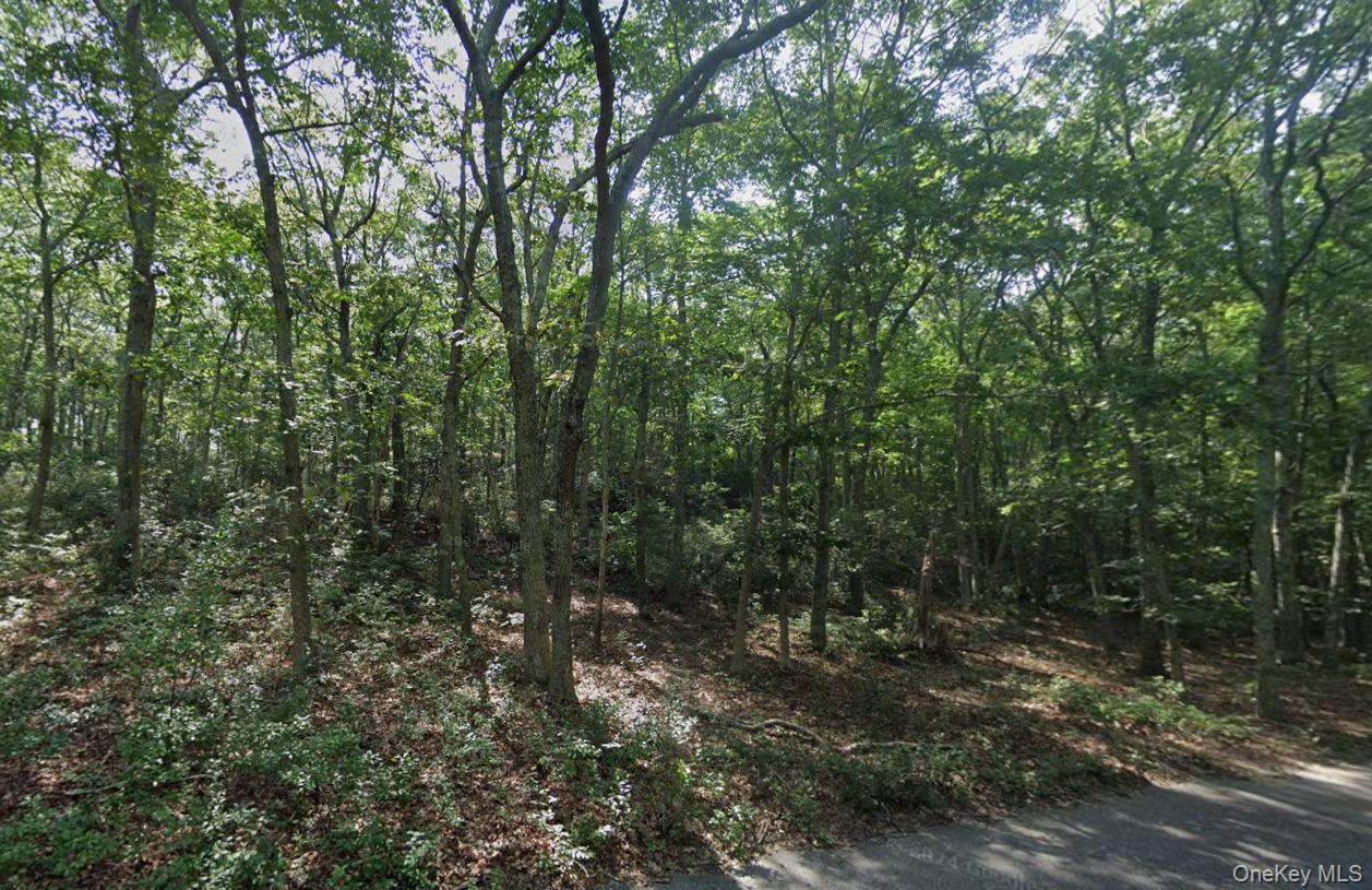 #4 photo, 901 Old Sag Harbor Road, Water Mill , NY 11976