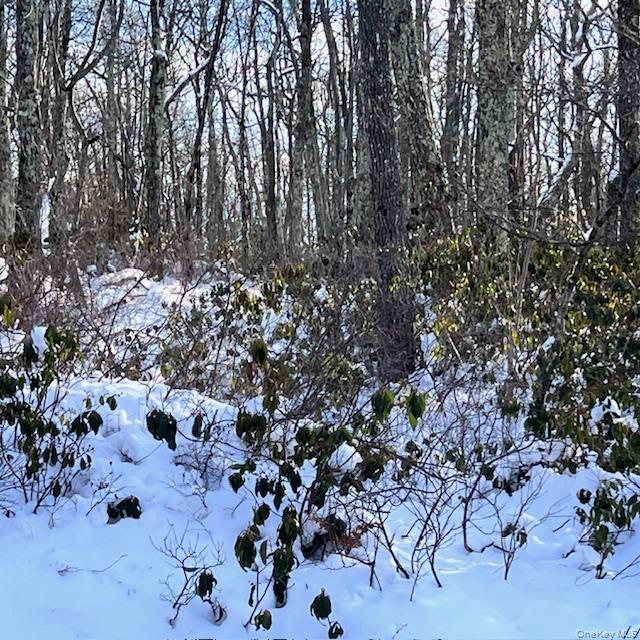 #1 photo, Budd Road, Wurtsboro , NY 12790