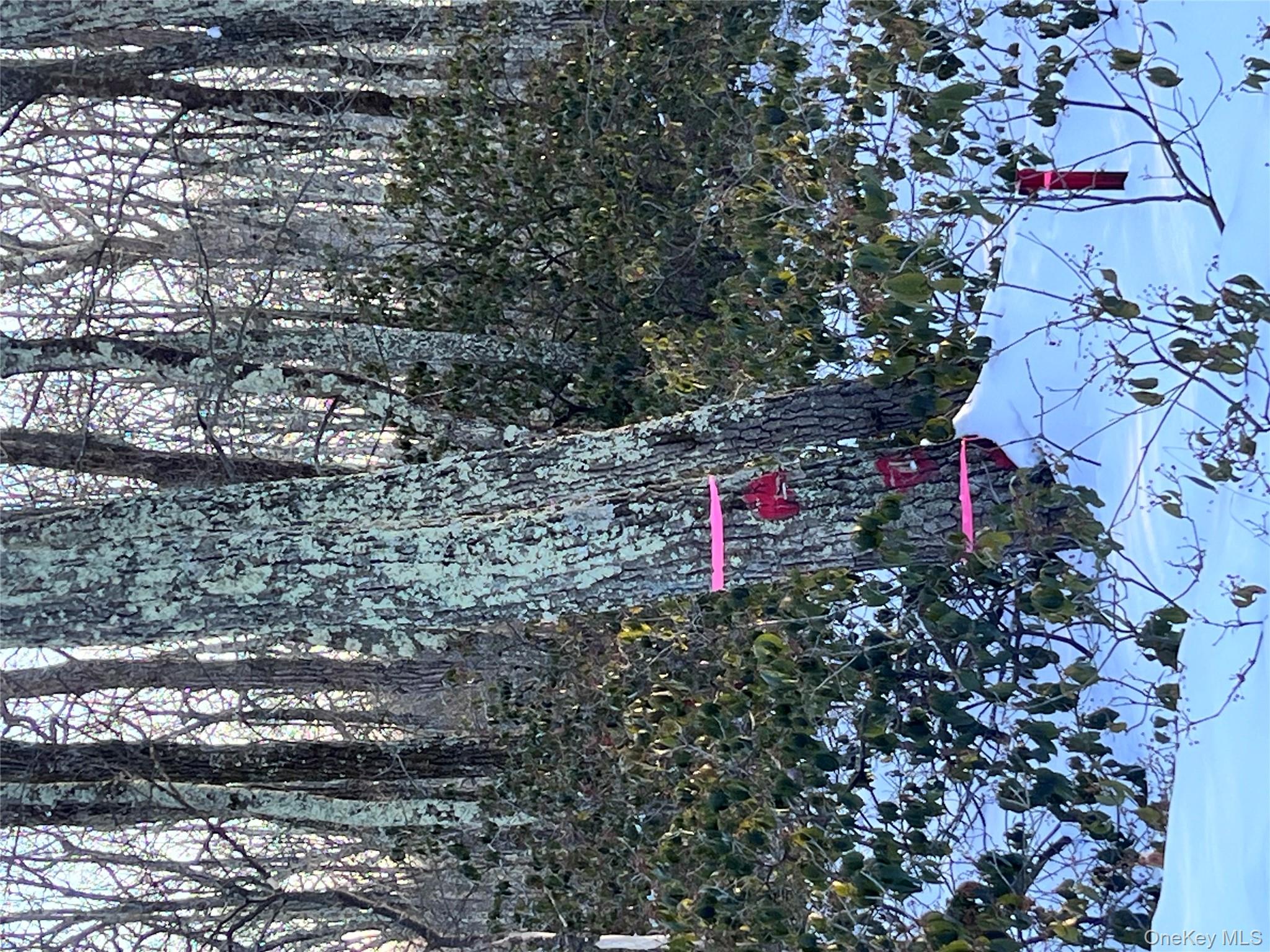 #5 photo, Budd Road, Wurtsboro , NY 12790