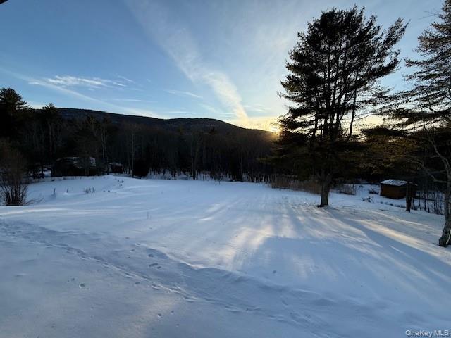 #2 photo, 5597 Red Hill Road, Claryville , NY 12725