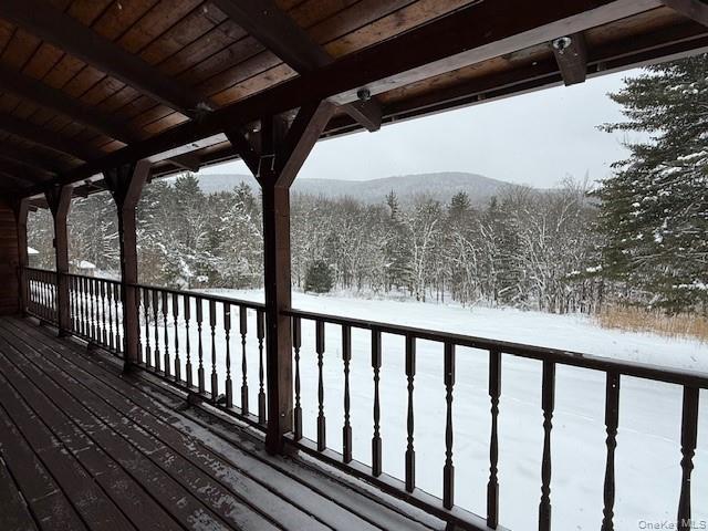 #5 photo, 5597 Red Hill Road, Claryville , NY 12725