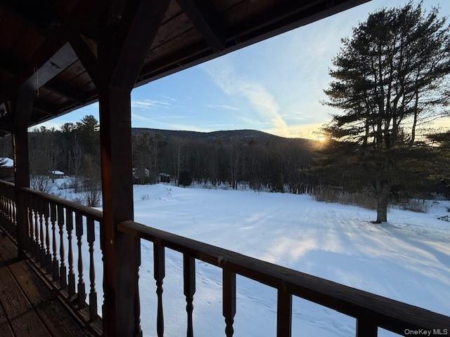 #6 photo, 5597 Red Hill Road, Claryville , NY 12725