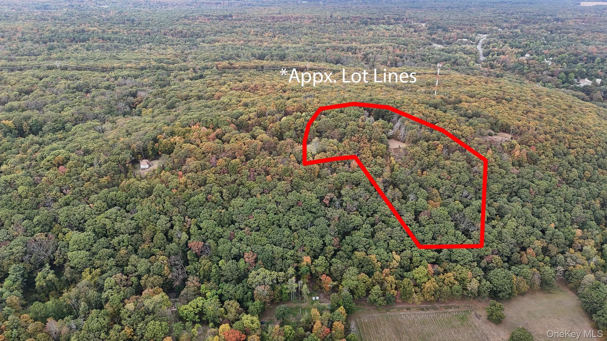 #2 photo, 157 Mount Airy, Saugerties , NY 12477