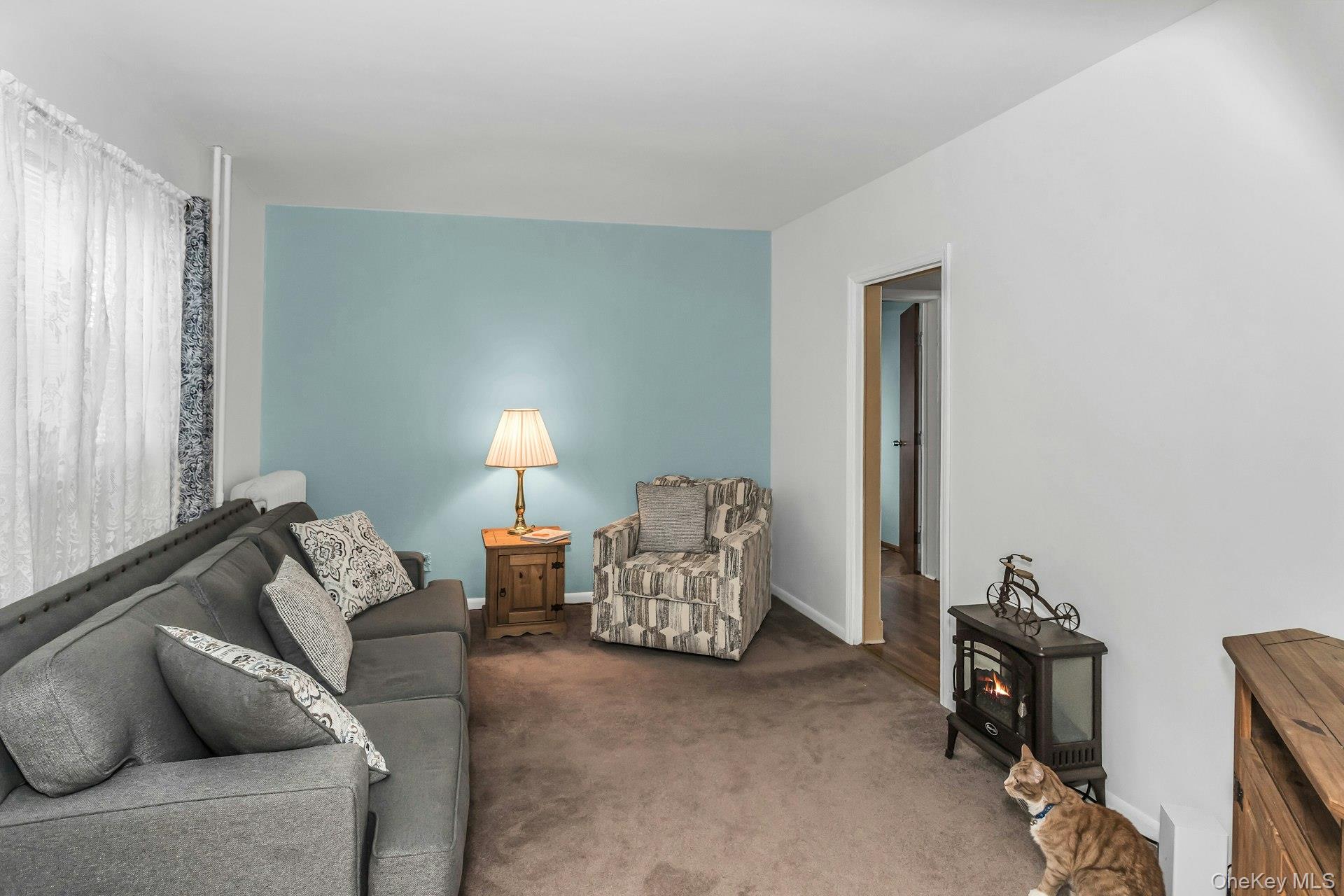 #6 photo, 9 Belmont Avenue, Floral Park , NY 11001