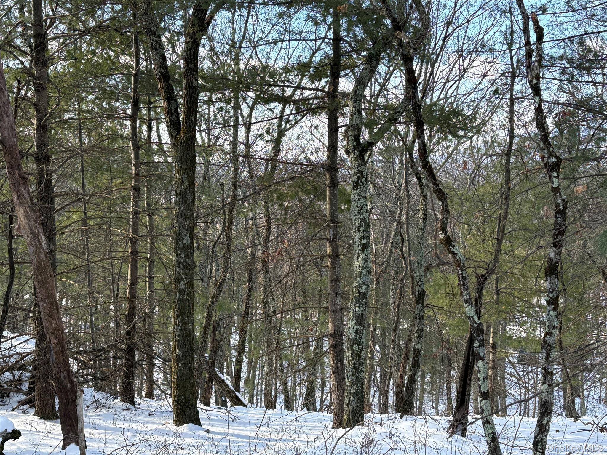 #10 photo, Route 28A, West Hurley , NY 12443