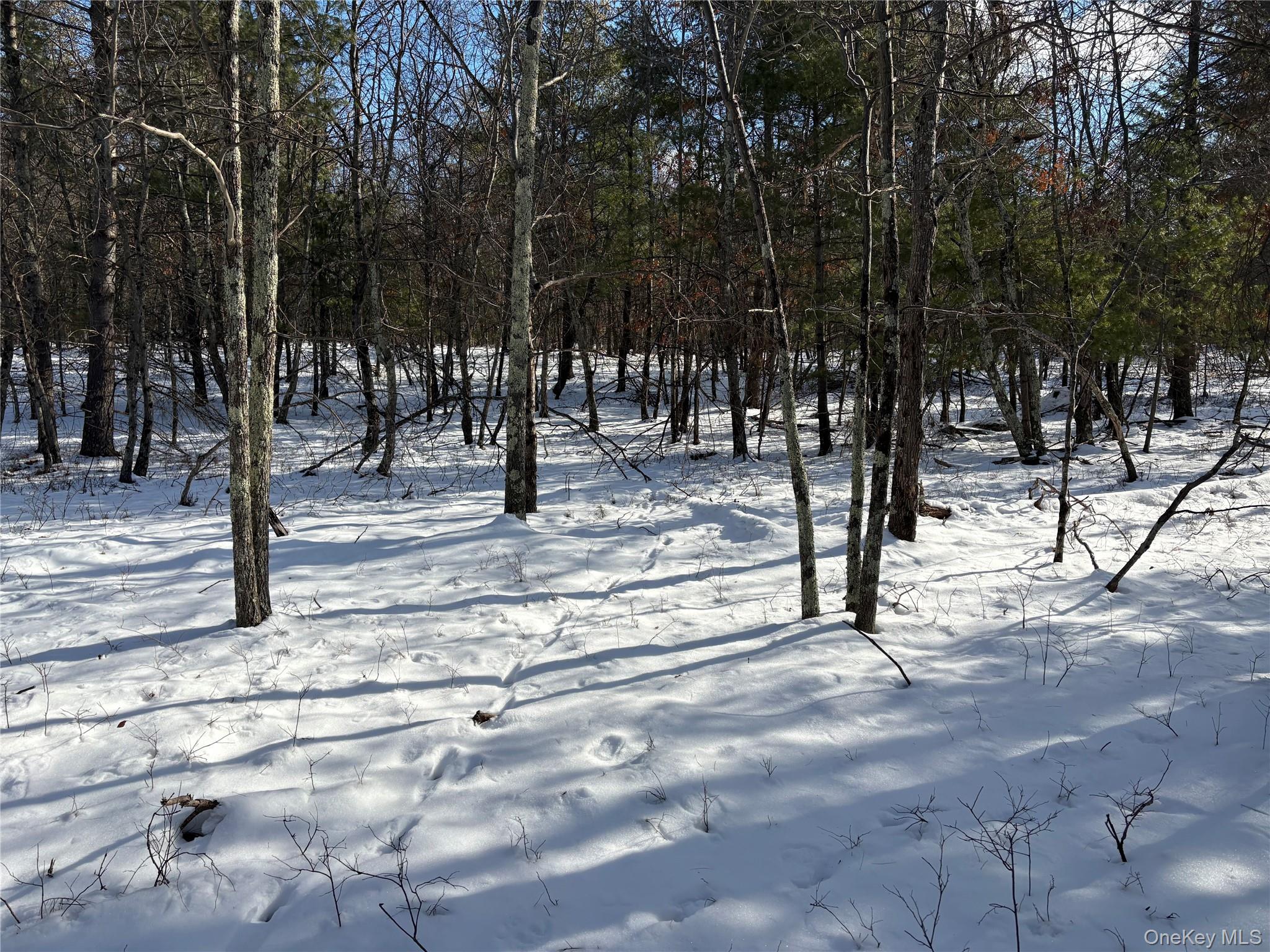 #11 photo, Route 28A, West Hurley , NY 12443