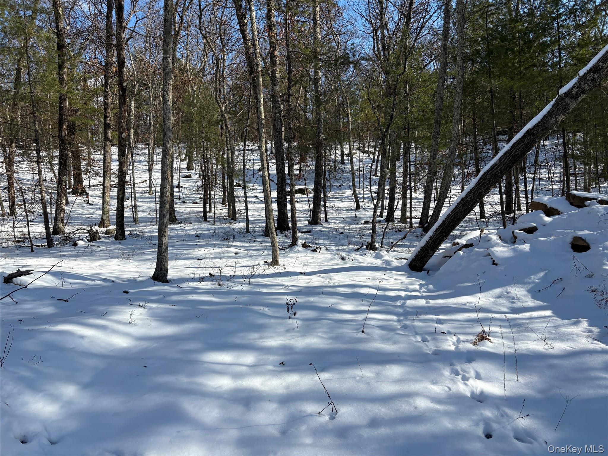 #3 photo, Route 28A, West Hurley , NY 12443