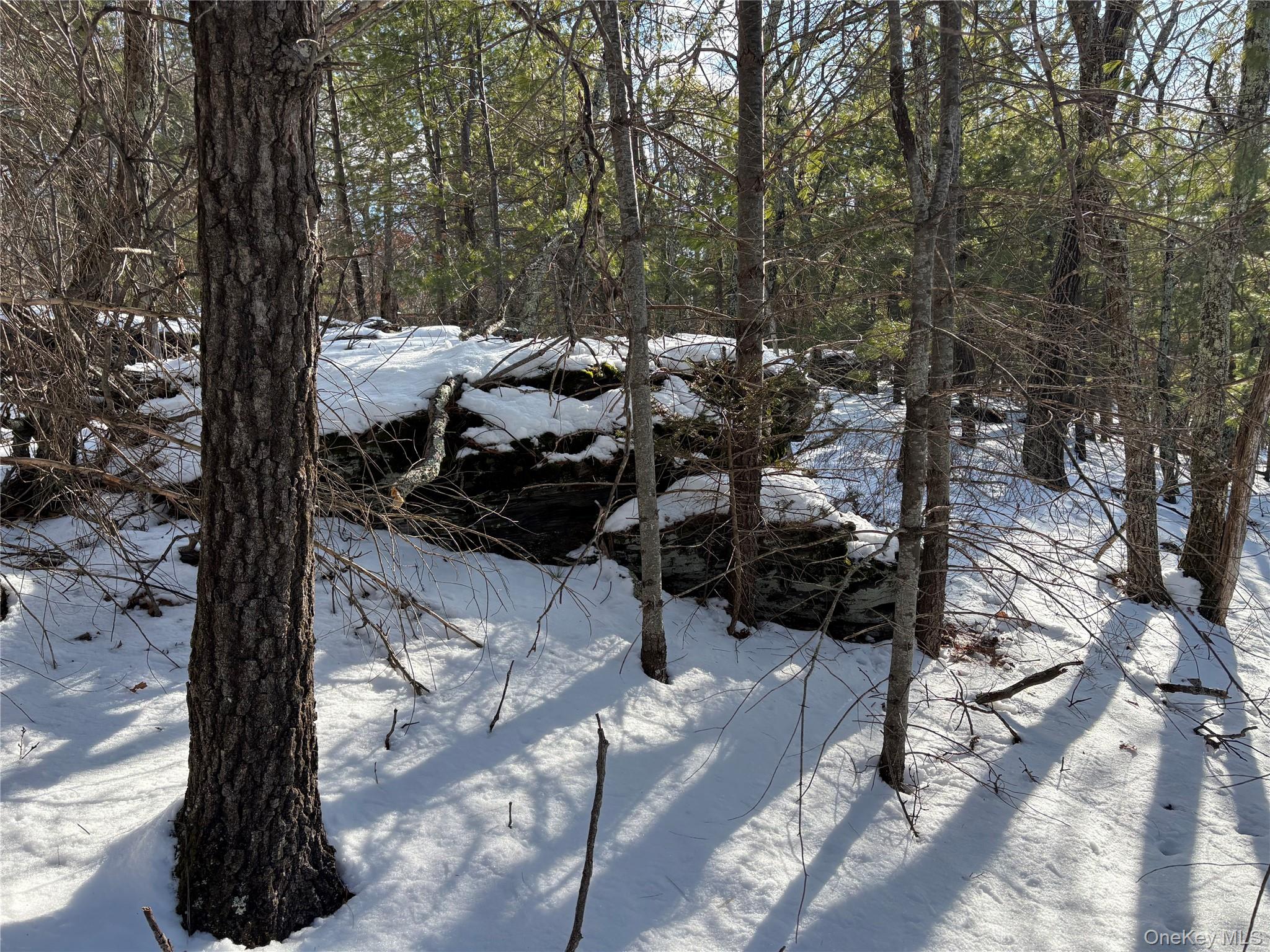 #4 photo, Route 28A, West Hurley , NY 12443