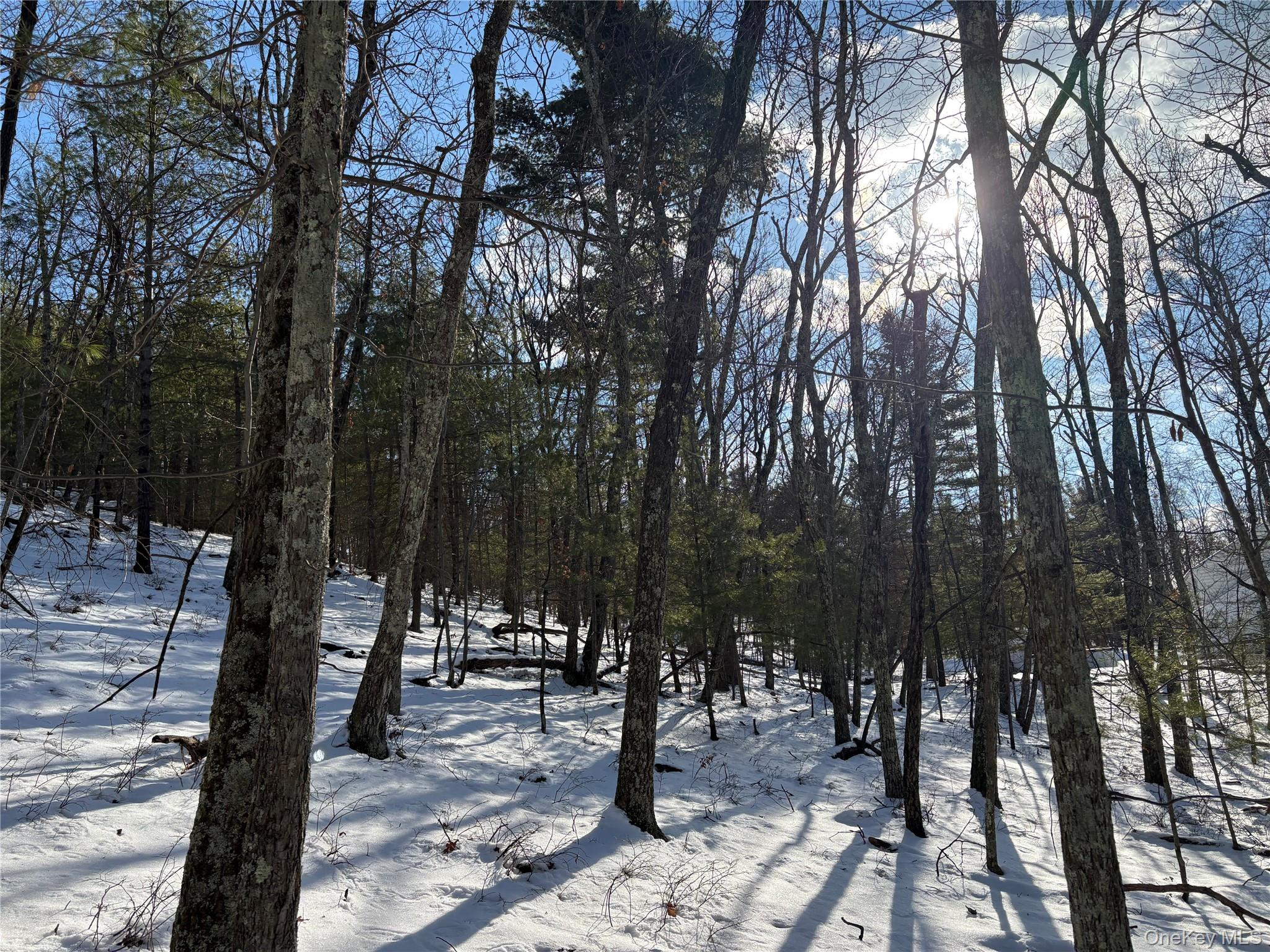 #6 photo, Route 28A, West Hurley , NY 12443