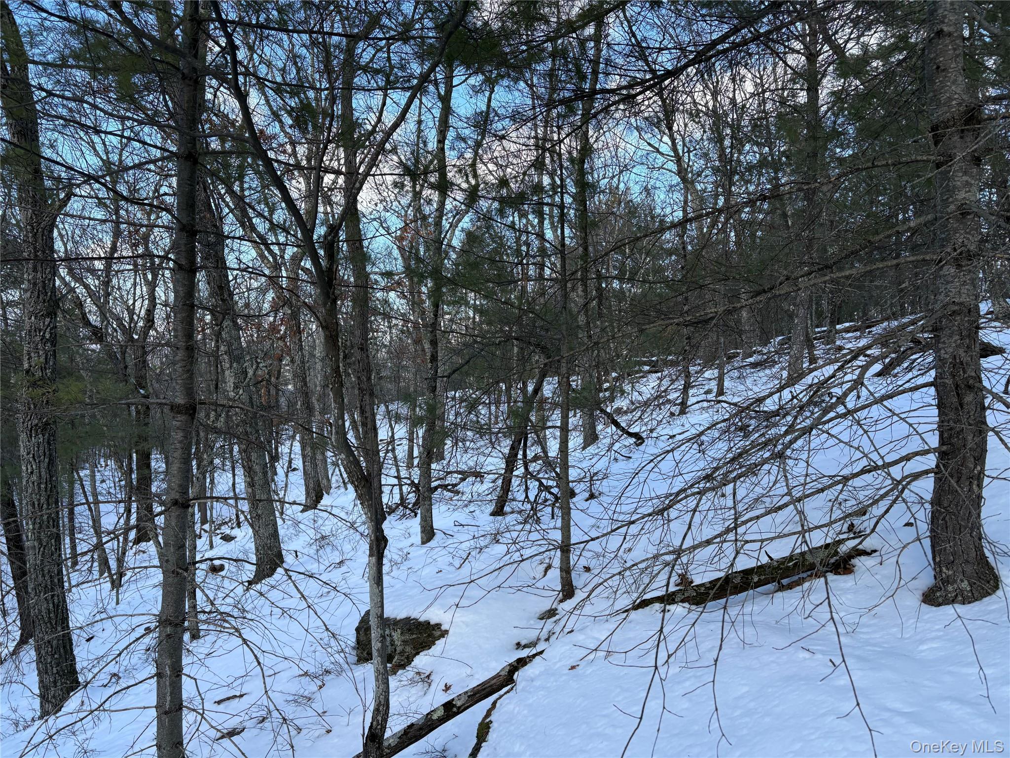 #7 photo, Route 28A, West Hurley , NY 12443