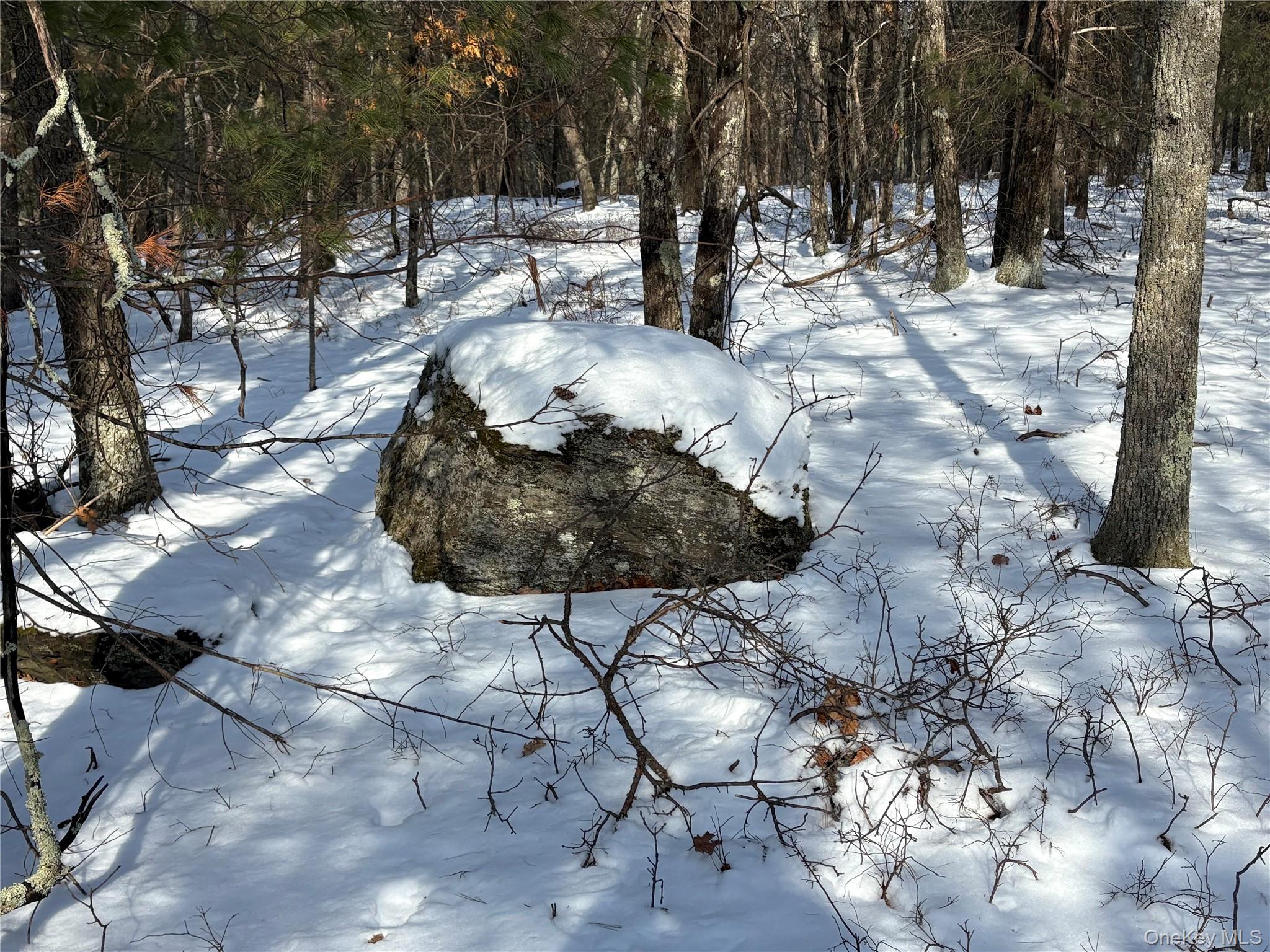 #8 photo, Route 28A, West Hurley , NY 12443