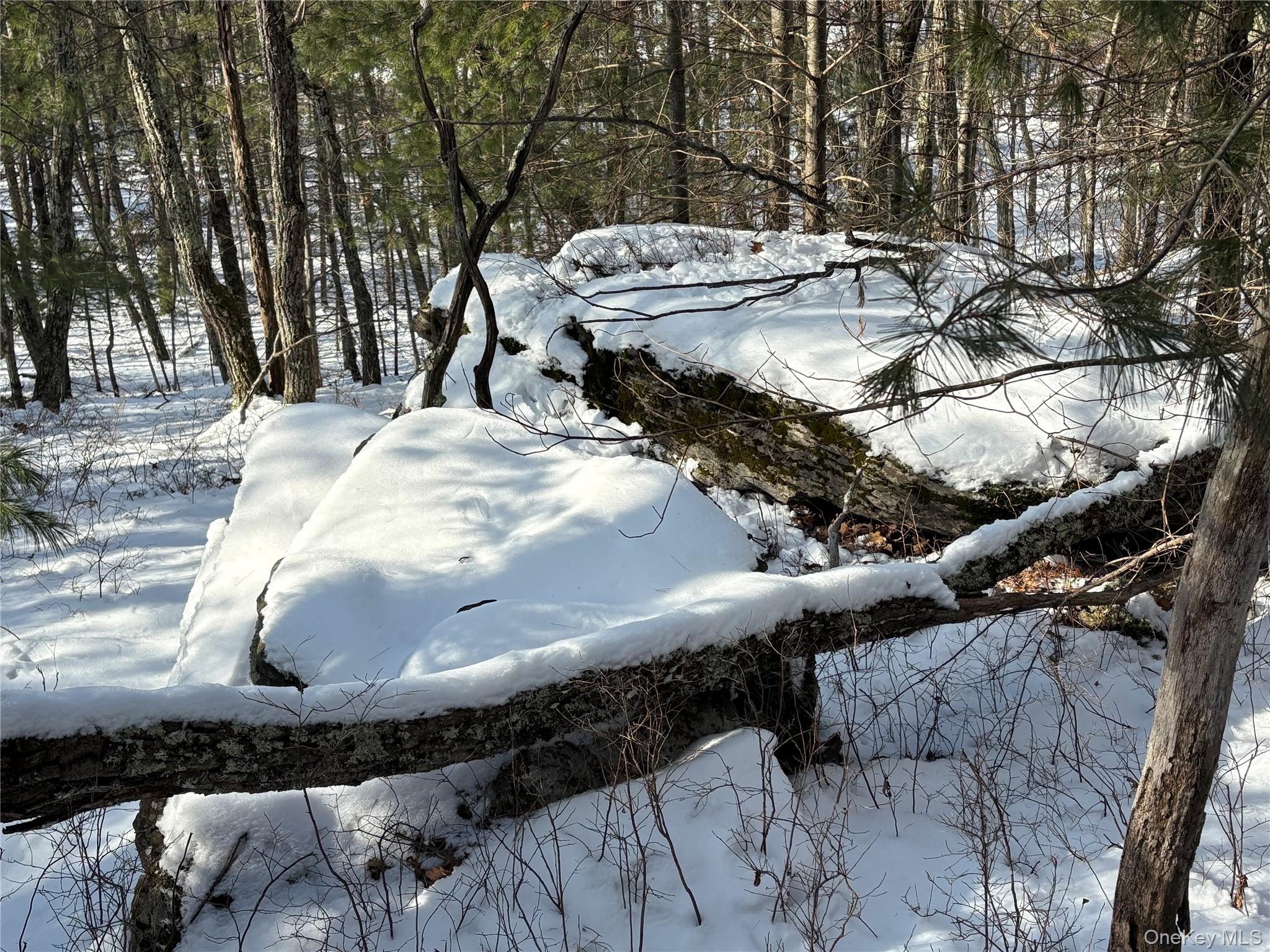 #9 photo, Route 28A, West Hurley , NY 12443